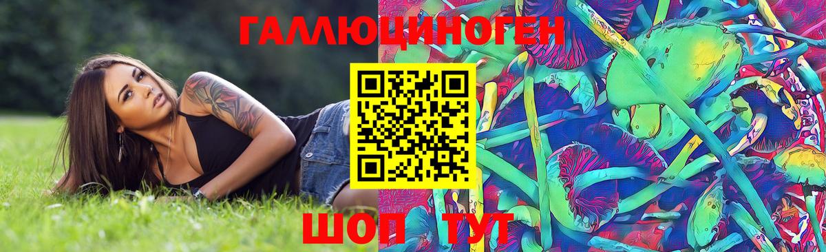 Псилоцибиновые грибы мицелий Новотроицк