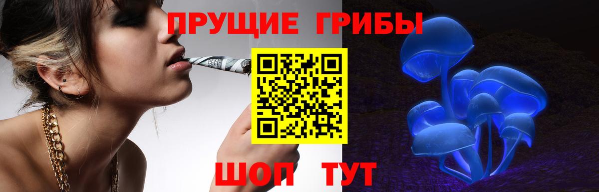 Галлюциногенные грибы Psilocybe  Вход с VPN  Новотроицк  Галлюциногенные грибы MAGIC MUSHROOMS 