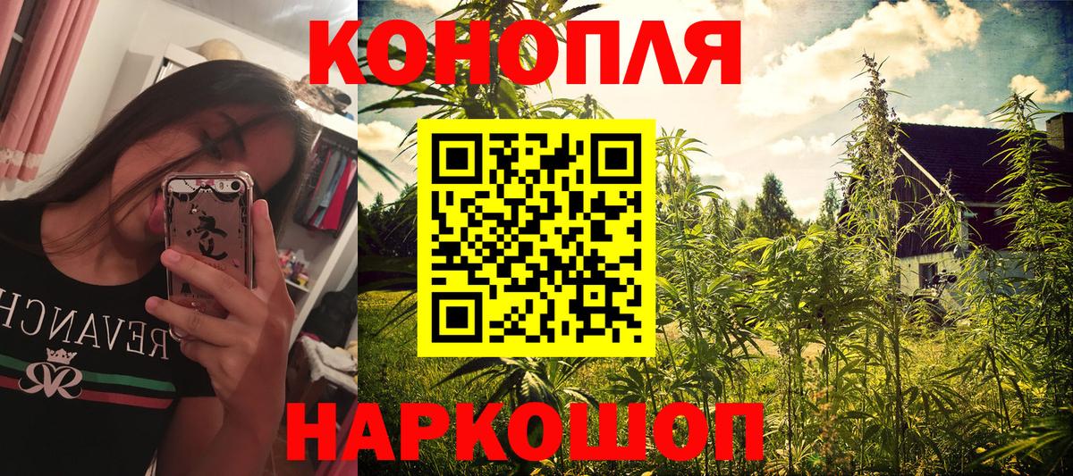 Бошки Шишки семена  Вход с VPN  Бошки Шишки Amnesia  МАРИХУАНА планчик  Новотроицк 